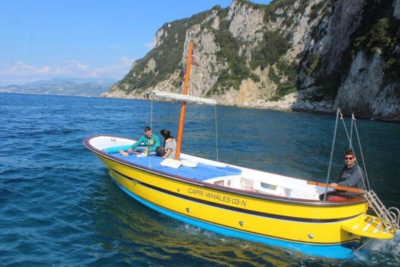 Capri Half Day Private Boat Tour from Capri (4 hours) - Who Should Consider This Tour?