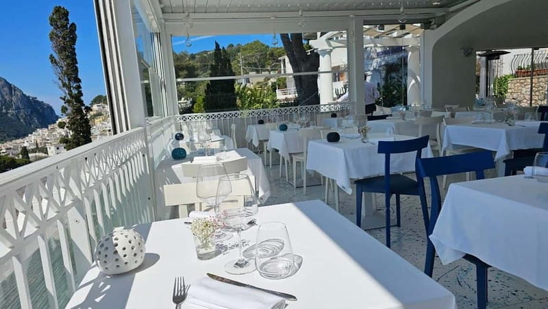 Capri: Premium Wine Tasting Experience with Faraglioni Views - Key Points/Takeaways