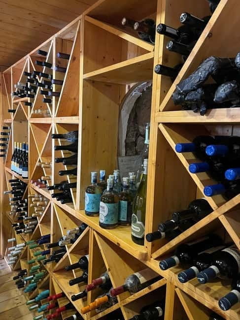 Capri: Premium Wine Tasting Experience with Faraglioni Views - Unique Insights from Guests