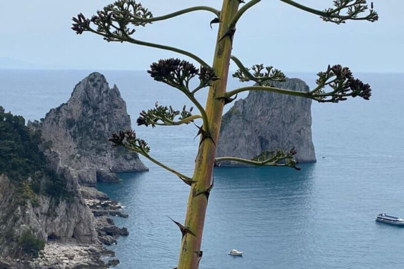 Capri Private Boat Tour at Sunset from Capri (2 hours) - Key Points / Takeaways