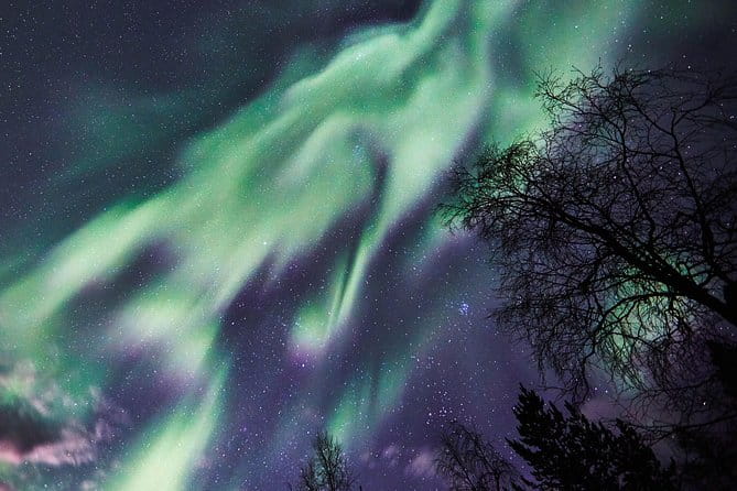Capturing Auroras in Pyhä - Price and Logistics: Fair Value for an Authentic Experience