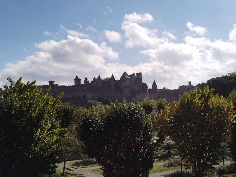 Carcassonne: Private Guided Tour with Castle Entry Ticket - The Highlights: Château Comtal and Ramparts