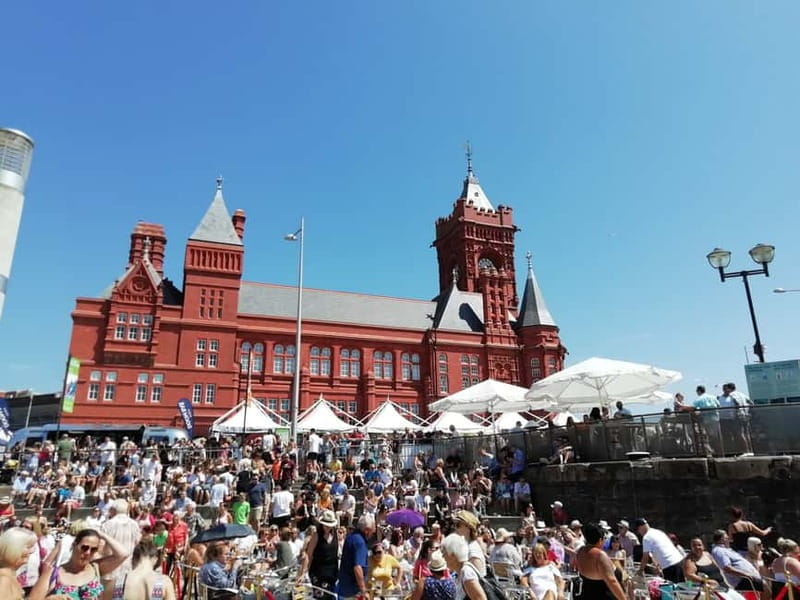 Cardiff Bay: Highlights Private Guided Tour - Pricing and Value