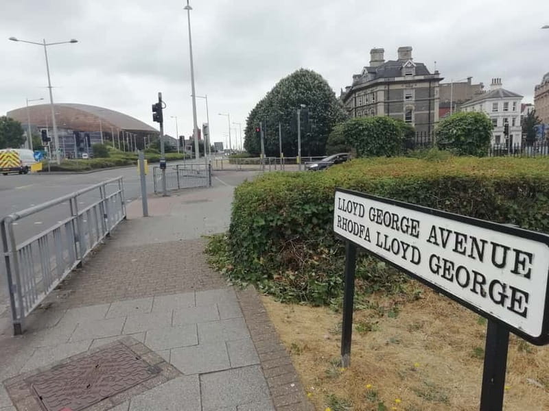 Cardiff Bay: Highlights Private Guided Tour - The Sum Up