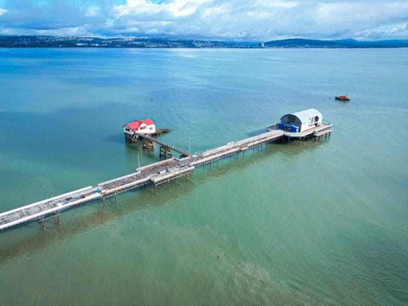 Cardiff: Gower Peninsula's Cliffs & Bays Scenic Day Tour - What Makes This Tour Particularly Valuable