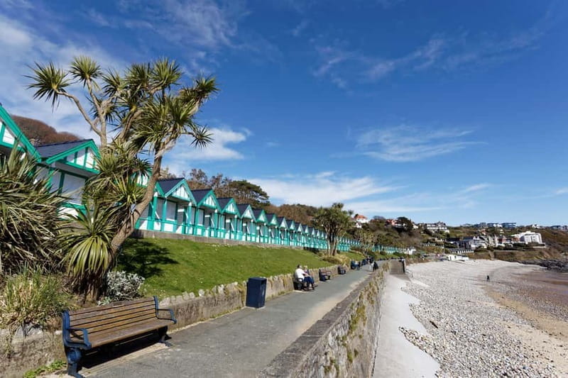 Cardiff: Private Day Tour Gower's Cliffs & Beaches - Price and Value