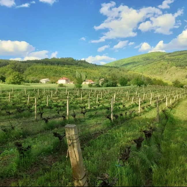 Careva Distillery: Taste Macedonian Brandies, Wines & Nature - Practical Tips for Travelers