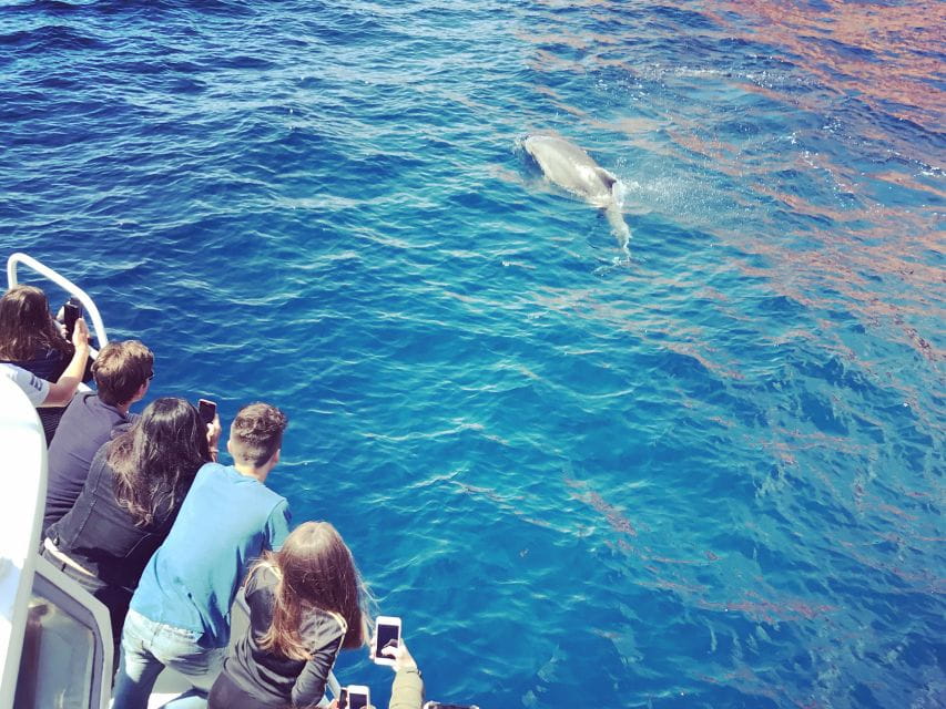 Cargèse: Scandola and Piana Boat Tour With Stop at Girolata - Itinerary Highlights