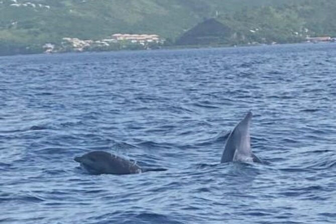 Caribbean Tour - Restrictions