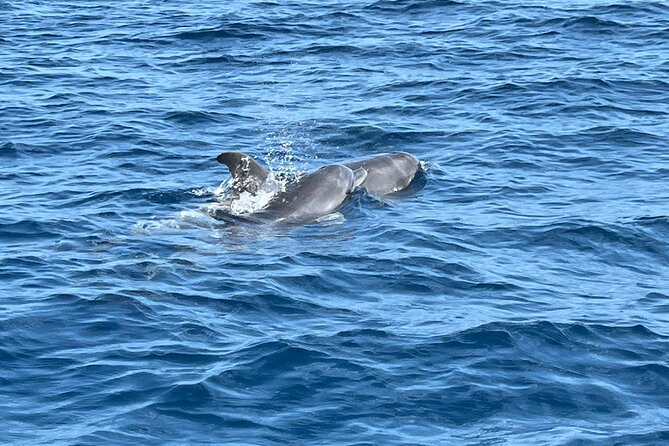 Caribbean Tour - Meeting and Pickup