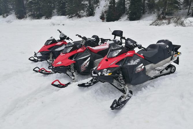 Carpathian mountains Snowmobile, ATV or Buggy tour in one day - Exploring the Experience in Detail