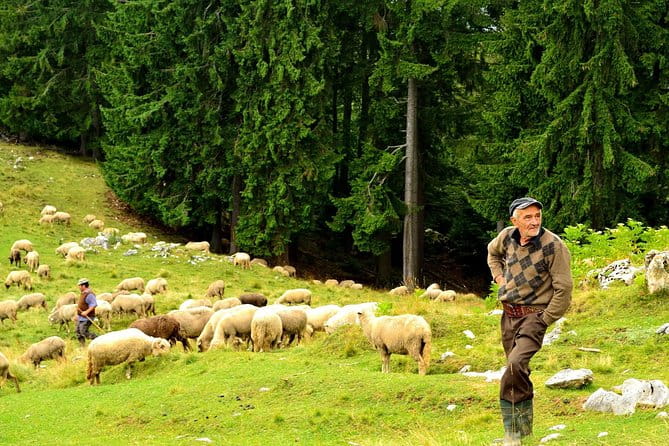 Carpathians in Romania: Piatra Craiului National Park with native Spanish guide. - FAQ