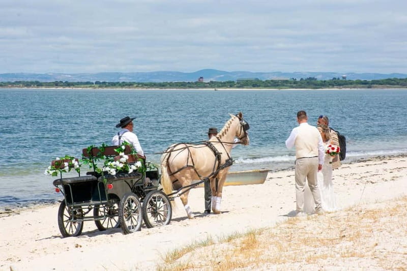 CARRIAGE Ride On The Beach (Rosário Beach) - Exploring the Carriage Ride Experience in Detail