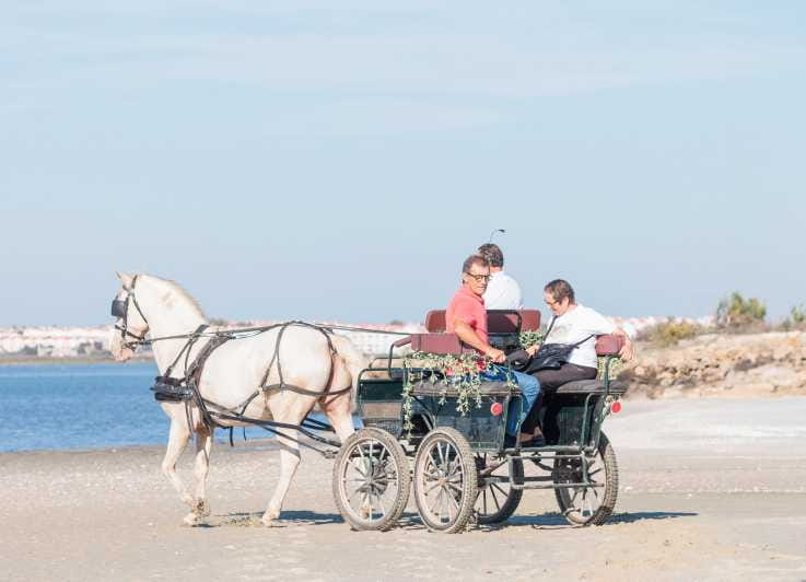 CARRIAGE Ride On The Beach (Rosário Beach) - Final Thoughts
