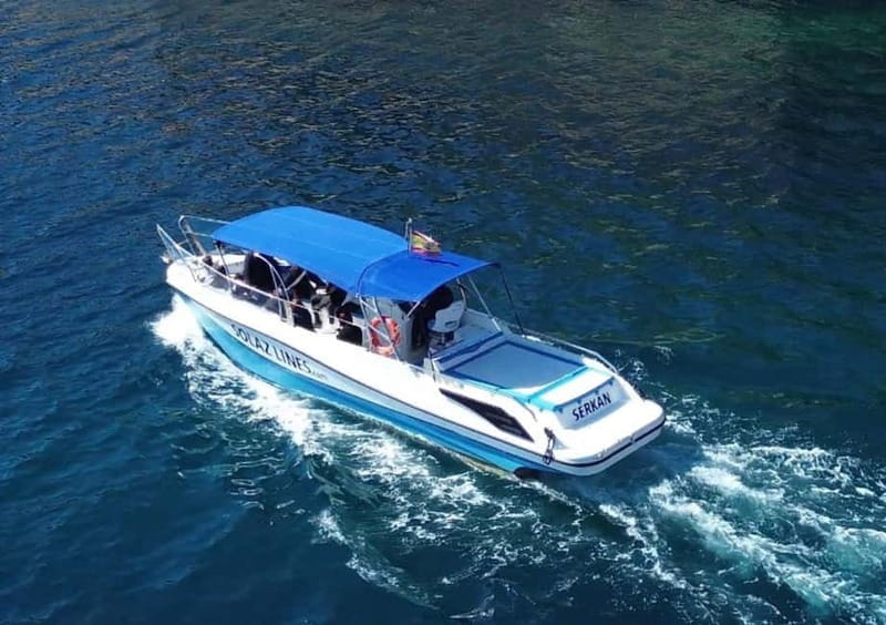 Cartagena: Guided boat tour of Cartagena and Algamecas Port - Who Would Love This Tour?