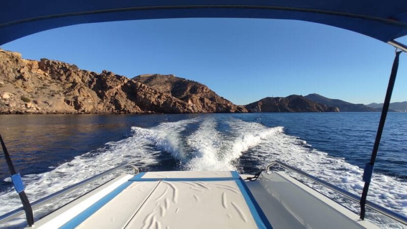 Cartagena: Guided tour by boat to the Isla de las Palomas - Experience Breakdown: What You Can Expect from Start to Finish