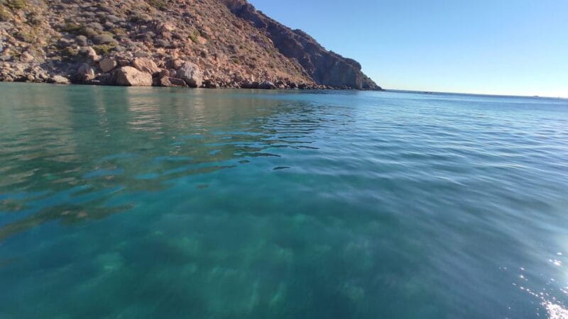 Cartagena: Guided tour by boat to the Isla de las Palomas - Final Thoughts: Is It Worth Your Time?