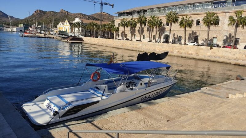 Cartagena: Guided tour by boat to the Isla de las Palomas - FAQ