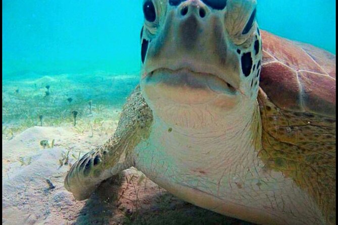 Cas Cay - Kayak Hike and Snorkel Adventure - Additional Information