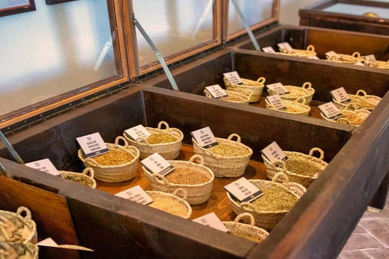 Casa Vermouth Padró: Vermouth tasting and guided visit in Bràfim (Tarragona) - Exploring Casa Vermouth Padró: A Taste of Tradition and Flavor in Bràfim