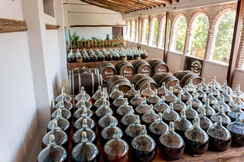 Casa Vermouth Padró: Vermouth tasting and guided visit in Bràfim (Tarragona) - FAQ