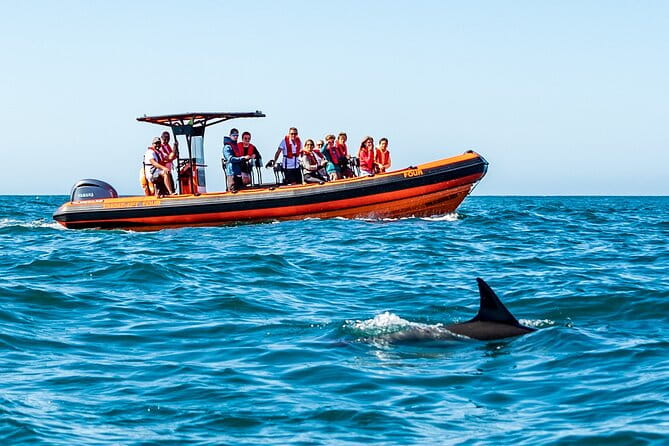 Cascais coast: Dolphin watching - Who This Tour Is Perfect For