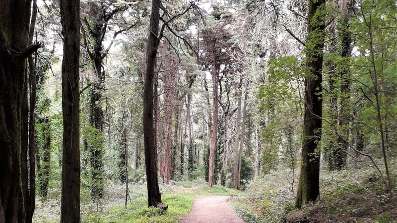 Cascais: Open Water Swimming and Hiking Experience - Key Points / Takeaways