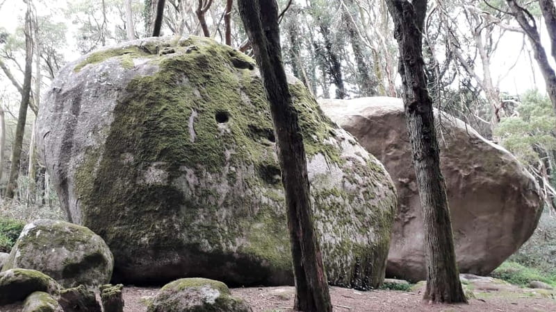 Cascais: Open Water Swimming and Hiking Experience - Who Will Love This Experience?