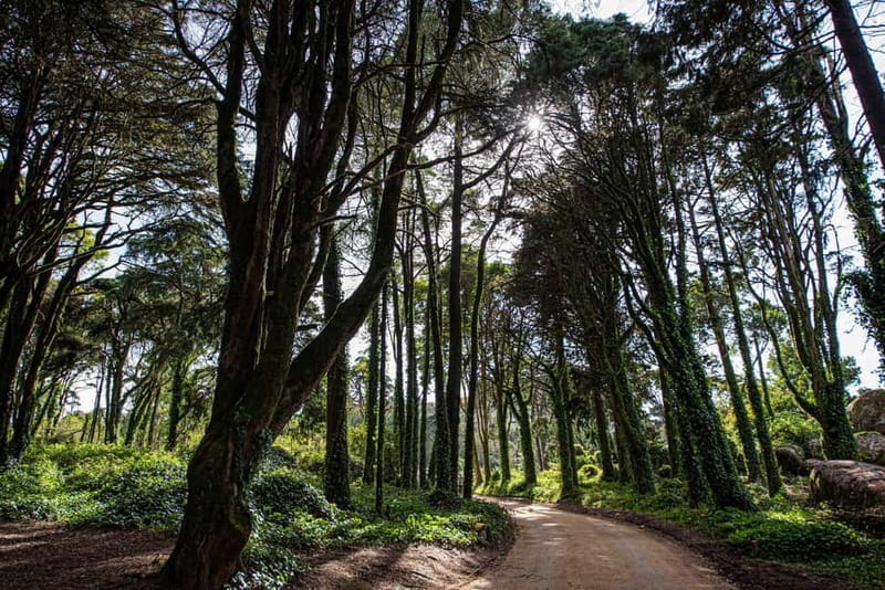 Cascais: Surfing tour within the Natural Park - Key points / Takeaways