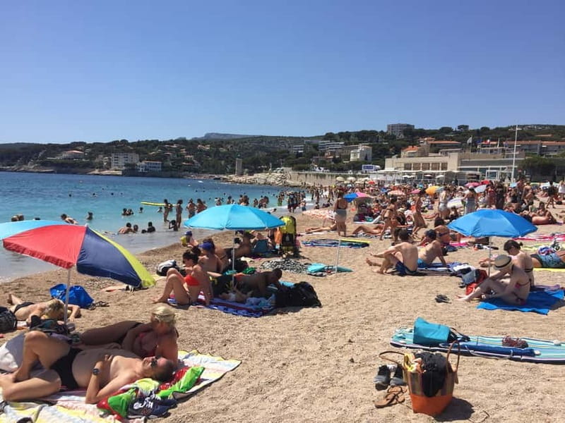 Cassis, Bandol, Le Castellet wine tour: Cliffs and Vineyards - Key Points & Takeaways