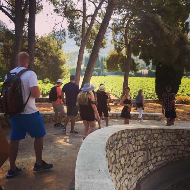 Cassis, Bandol, Le Castellet wine tour: Cliffs and Vineyards - The Sum Up: Who Should Consider This Tour?