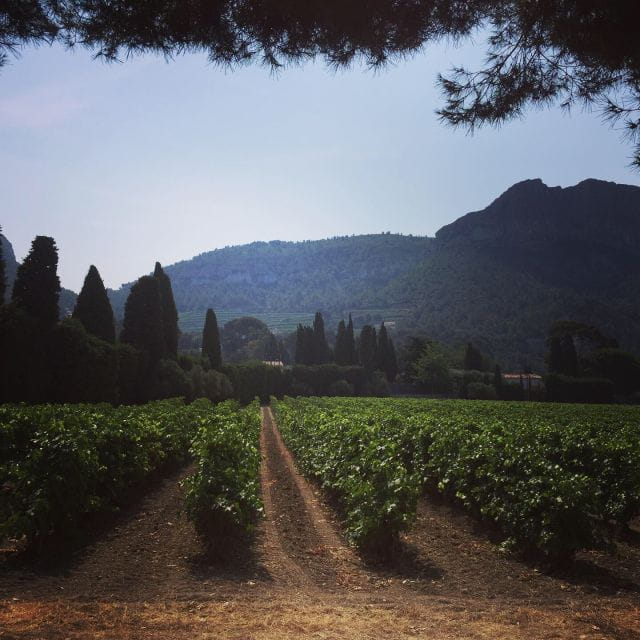 Cassis, Bandol, Le Castellet wine tour: Cliffs and Vineyards - FAQ