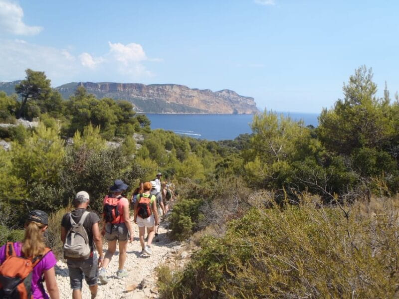 Cassis: Half-Day Calanques de Cassis Hike - The Sum Up: Who Should Book This Experience?