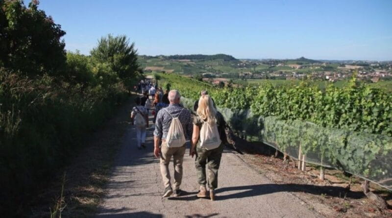 Castagnole delle Lanze: Saffron Walking Tour w/ Wine & Food - A Taste of Piedmont’s Saffron and Wines: An Authentic Walking Experience