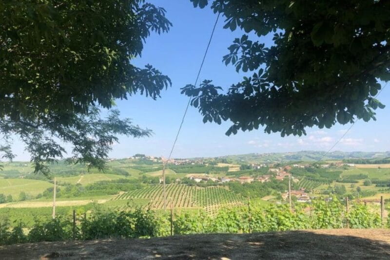 Castagnole delle Lanze: Saffron Walking Tour w/ Wine & Food - Key Points / Takeaways