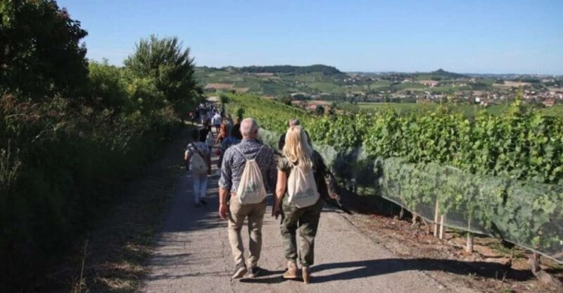 Castagnole delle Lanze: Saffron Walking Tour w/ Wine & Food - Vineyards with a View: The Charm of Piedmont’s Countryside