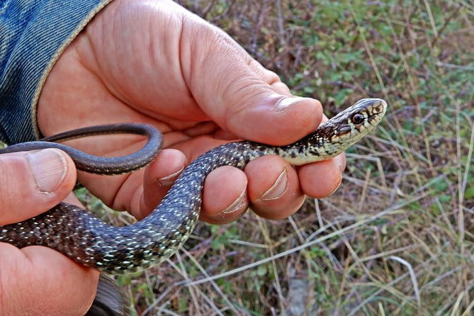 Castel del Monte: excursion in the Alta Murgia National Park - Exploring Castel del Monte: A Landmark of Mystery and Majesty