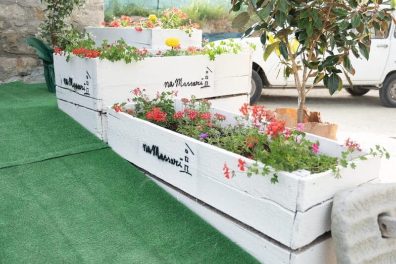 Castelbottaccio: a day in the countryside and on the farm with Nicoletta - An In-Depth Look at the Farm Day Experience