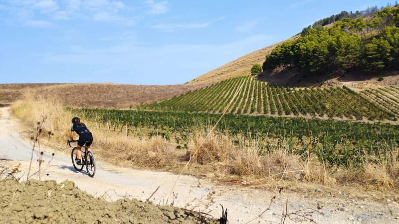 Castellammare del Golfo: E-Bike Tour to Segesta Temple - Key points / Takeaways