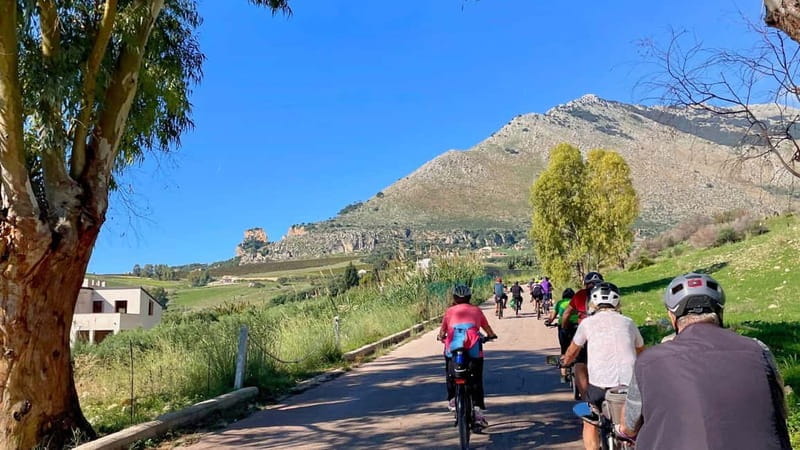 Castellammare del Golfo: E-Bike Tour to Segesta Temple - Who This Tour Is Best For