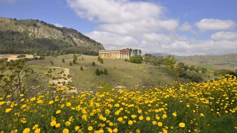 Castellammare del Golfo: E-Bike Tour to Segesta Temple - Who Should Book This Tour?