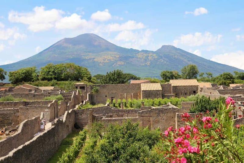 Castellammare di Stabia: Mount Vesuvius and Pompeii Tour - Exploring the Tour: A Closer Look