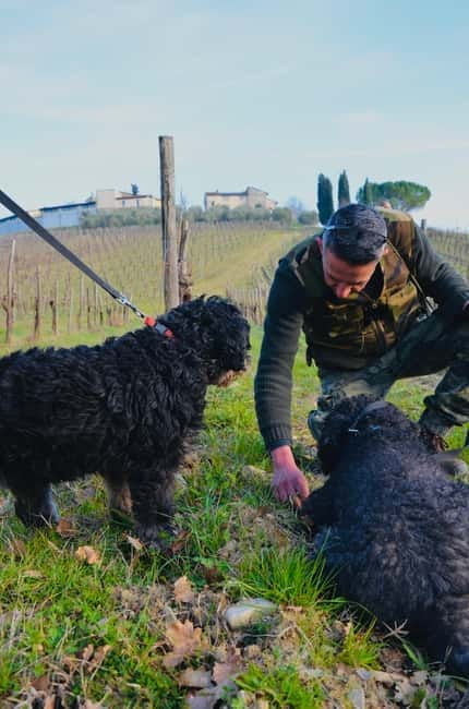 Castellina in Chianti: Truffle Search, Wine Tasting & Lunch - Key points / Takeaways