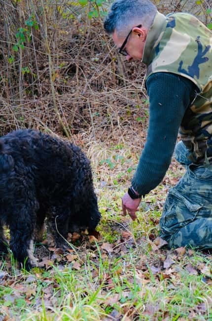 Castellina in Chianti: Truffle Search, Wine Tasting & Lunch - Discovering the Charm of Castellina in Chianti’s Truffle & Wine Tour