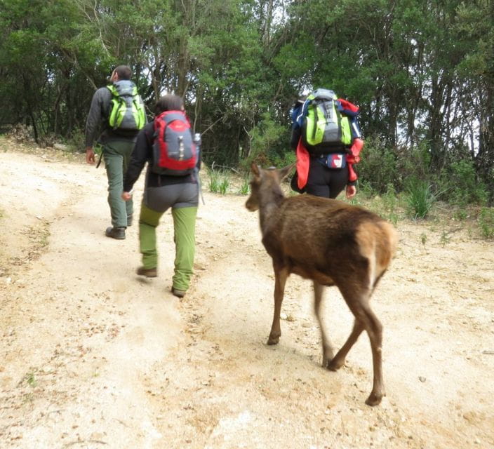 Castiadas: trekking in the S'Acqua Callenti forest - The Sum Up: Is the SAcqua Callenti Forest Trek Worth It?