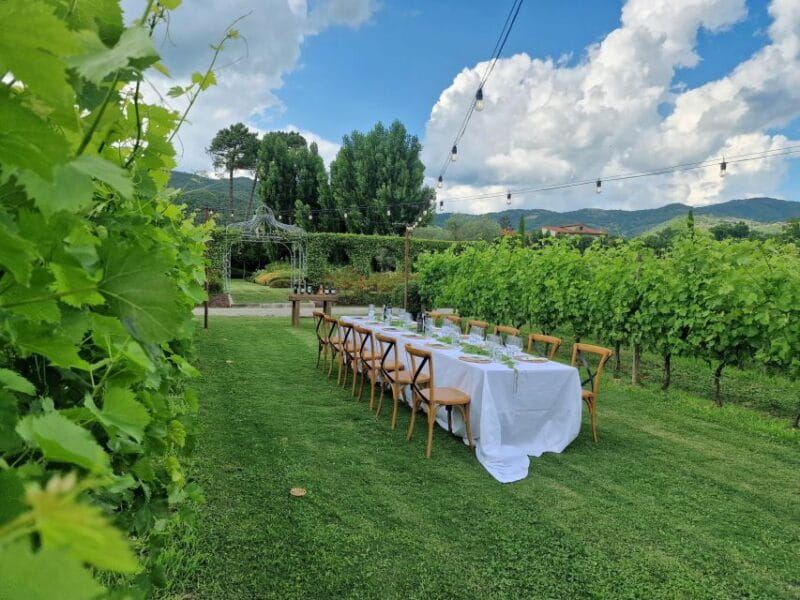 Castiglion Fiorentino: Buccelletti Wine Flight - Key points / Takeaways