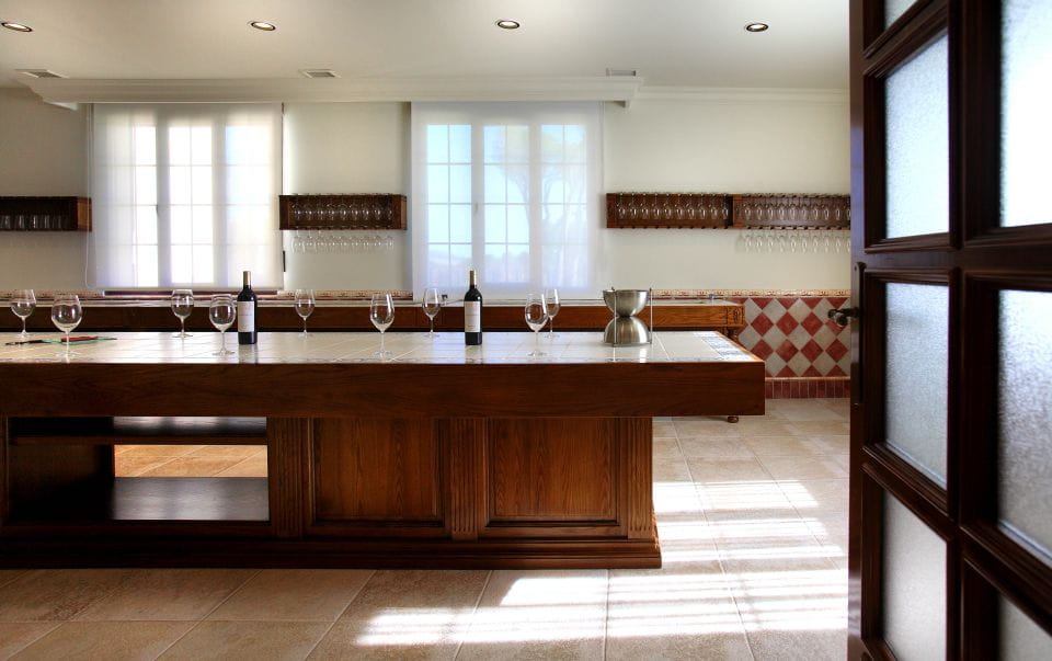 Castille and León: Vineyard Tour With Wine Tasting - Experience Highlights