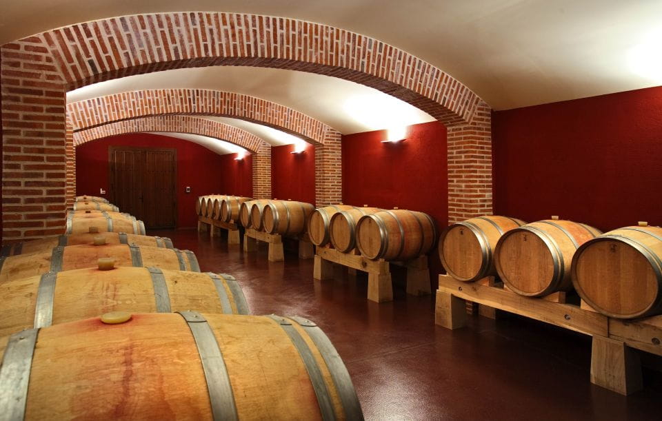 Castille and León: Vineyard Tour With Wine Tasting - Organic Wine Production