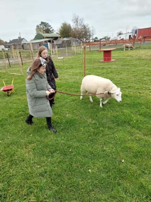Castlegadddery: Murtagh's Organic Farm Guided Tour - Introduction: Authentic Irish Farm Experience with a Personal Touch