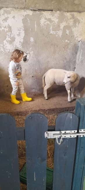 Castlegaddery: Murtagh's Organic Farm Entry Ticket - Who Will Love Murtagh’s Farm?